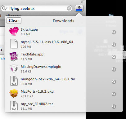 Safari download panel